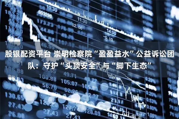 股银配资平台 崇明检察院“盈盈益水”公益诉讼团队:守护“头顶安全”与“脚下生态”