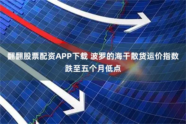 翻翻股票配资APP下载 波罗的海干散货运价指数跌至五个月低点