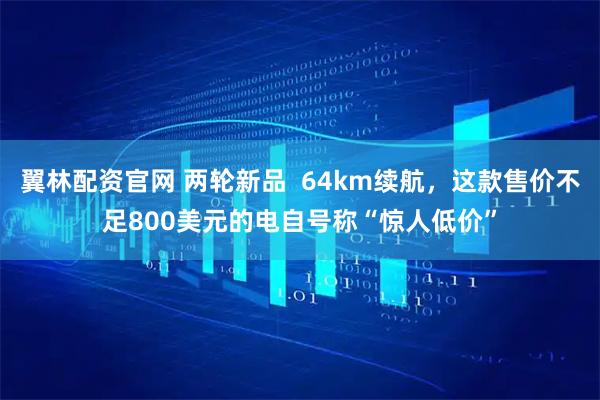 翼林配资官网 两轮新品  64km续航，这款售价不足800美元的电自号称“惊人低价”